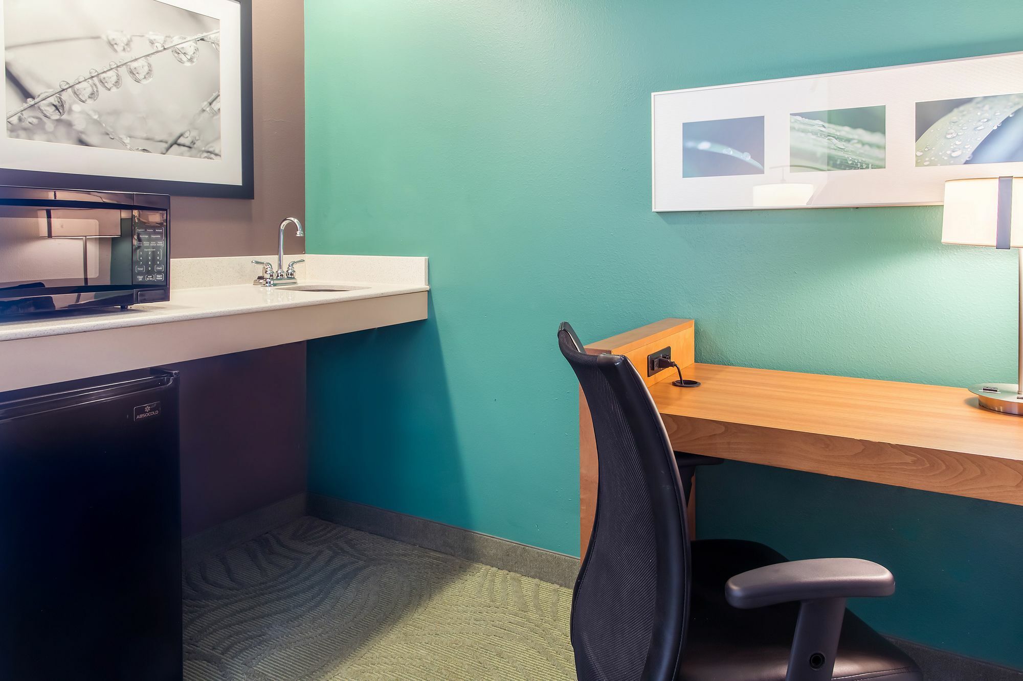 Springhill Suites By Marriott Memphis East Galleria Extérieur photo